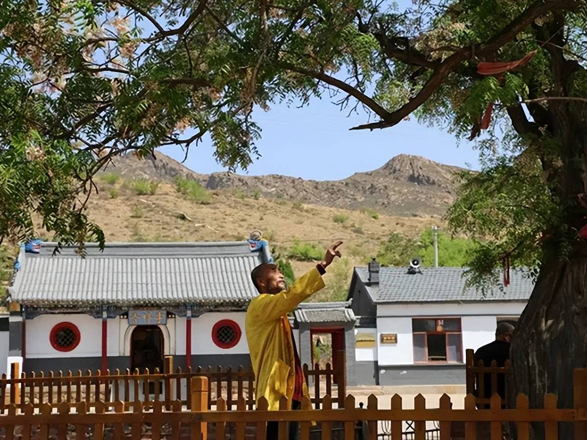 普祥寺文冠果:百年沧桑,修心圣所_树种_时节_人们