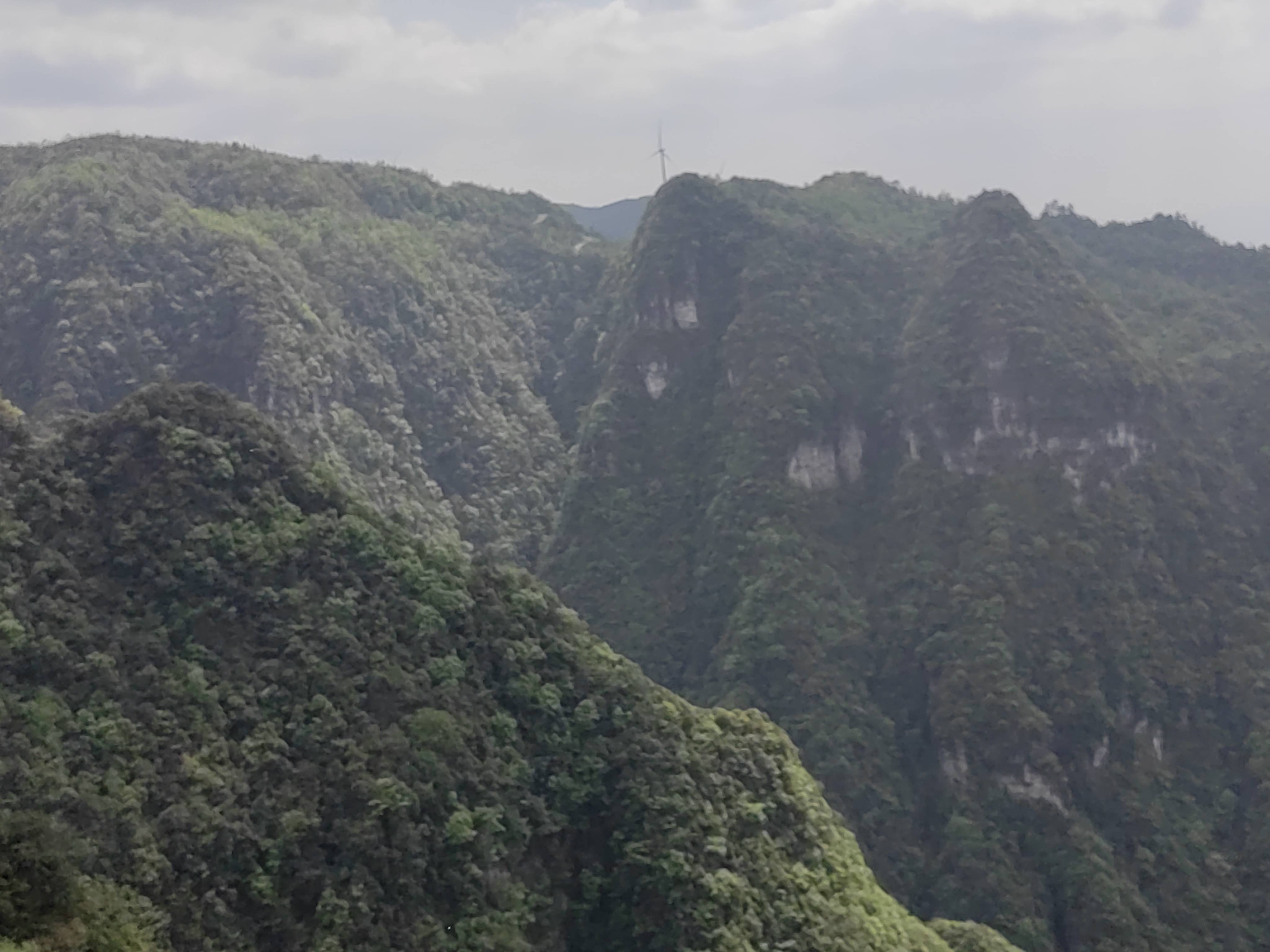桐梓官仓仙人山_汇川区_桐梓县_山顶