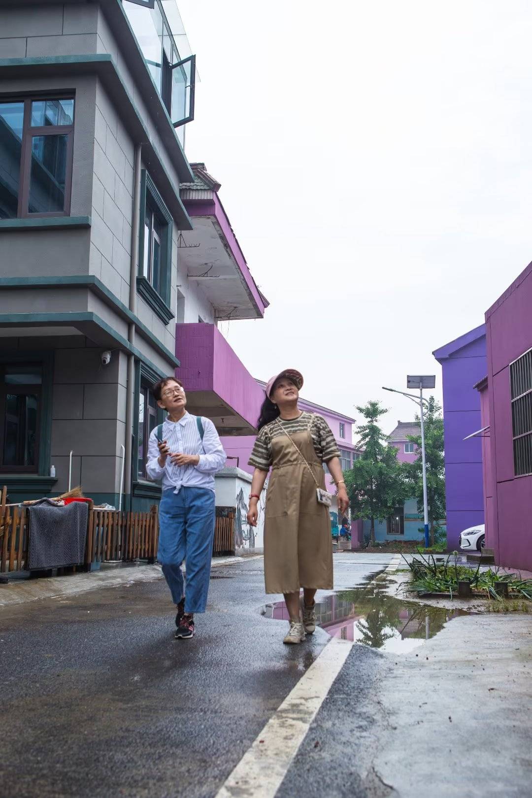 网红石臼湖草海·打卡张许村滩涂_龙猫_笔者_景观