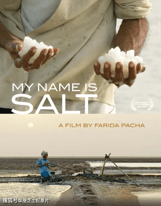 9297-瑞士纪录片《大地之盐 My Name Is Salt 2013》无对白 1080P/MKV/2.7G 印度盐田