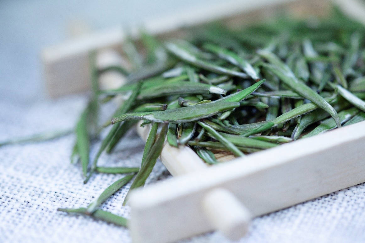 饮一杯早春佳茗,揽百里侗乡入_三江_茶叶_种植