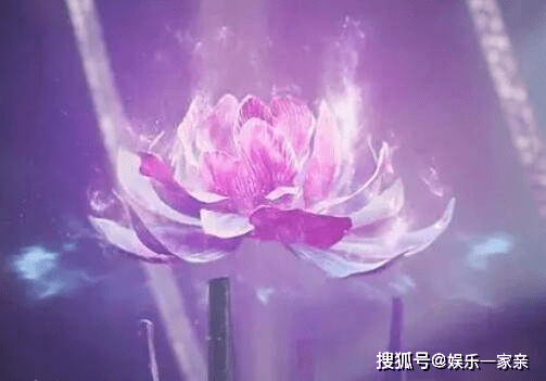 大尊和魏枝的關係揭秘_魏凌月_孔雀_慕南