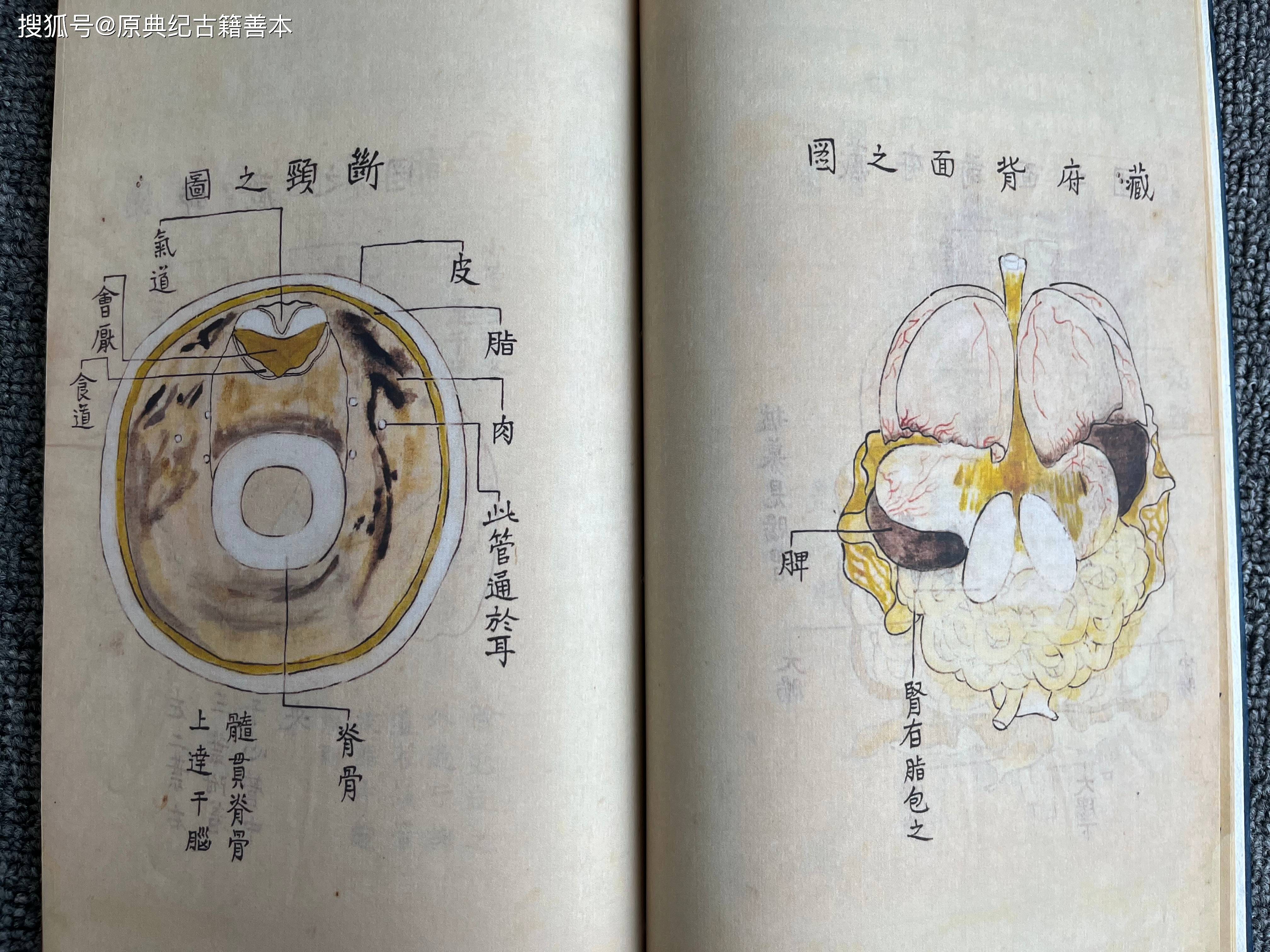 也进行了人体解剖的描述;至北宋时期《欧希范五脏图《存真图》的出