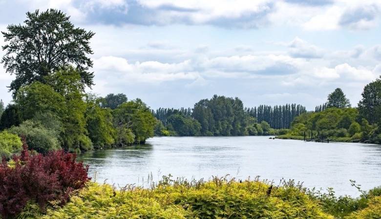 不想被用户抛弃,家电厂商是时候放弃过度营销了!-家电圈官网