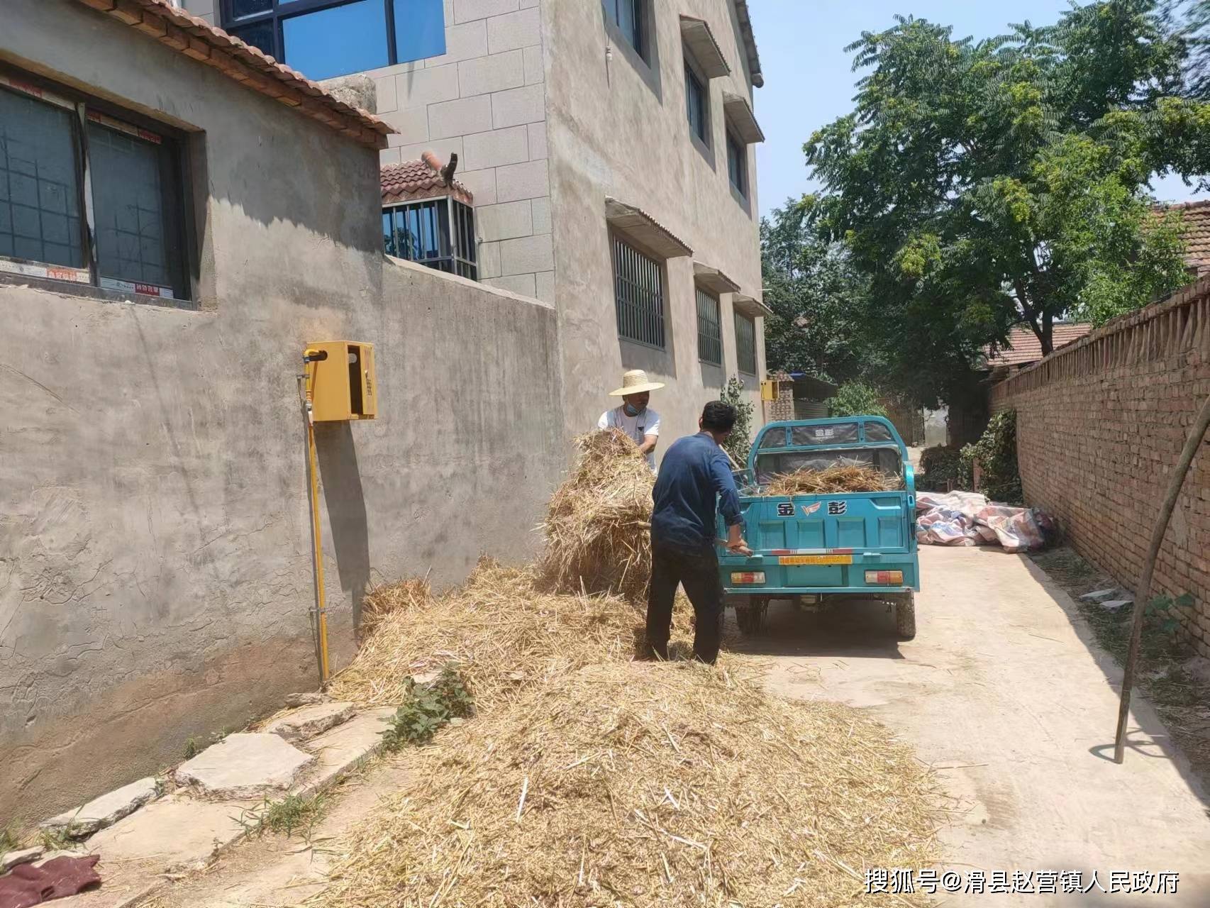 赵营镇:按下环境"美颜键" 擦亮"生态宜居星"_工作_人居_整治