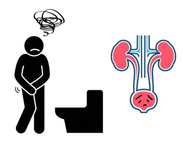 导致慢性肾功能衰竭;其次是改善排尿障碍症状以减轻患者生活上的痛苦