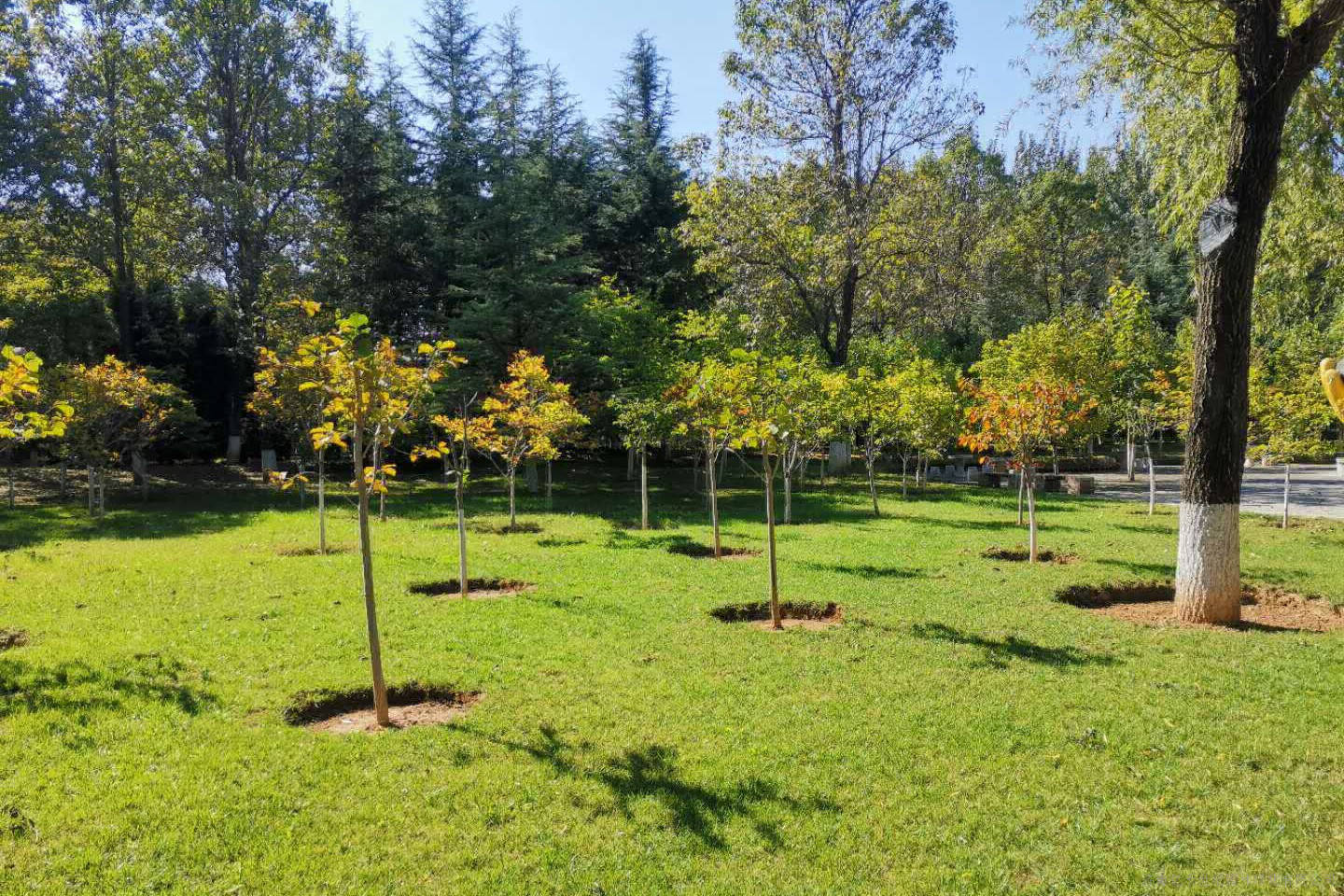 报名条件初级绿化工(具备以下条件之一者)1.