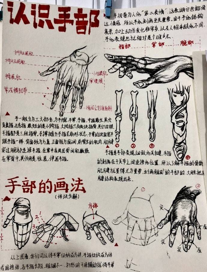 速写五官详解嘴 耳朵 眼睛 鼻子 手部 常用线条-搜狐大视野-搜狐新闻