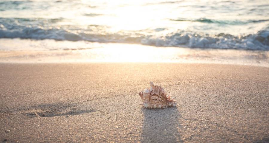 一线家电市场发展又到风雨飘摇时-家电圈官网
