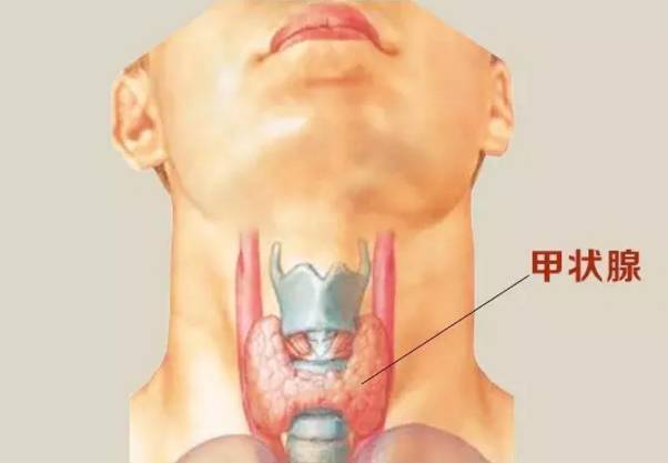 北京中西医结合甲状腺专家合作诊疗中心