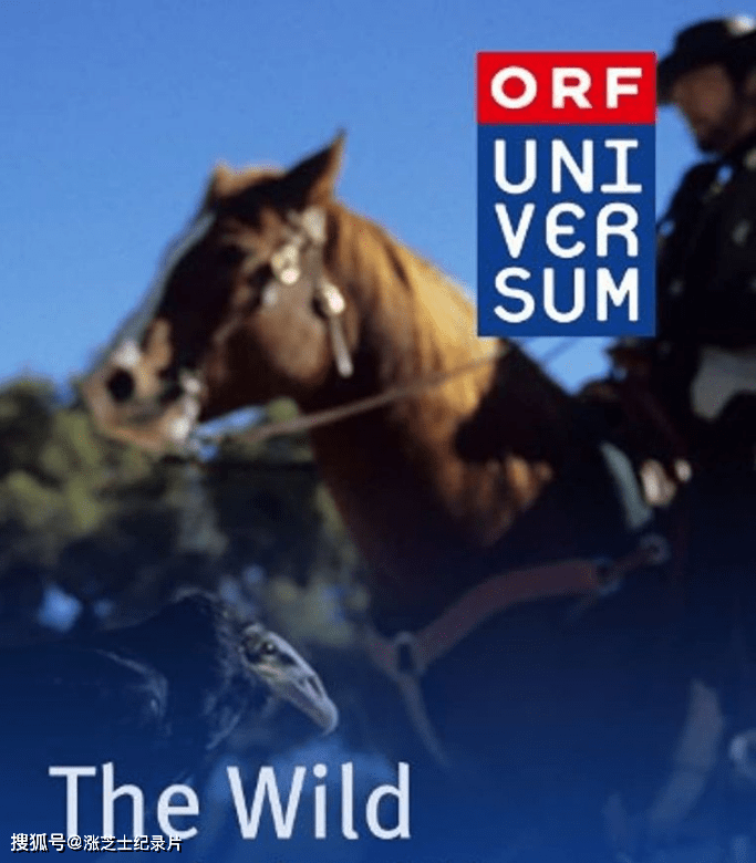 9616-美国纪录片《西部记忆 The Wild & the West》国语中字 1080P/MP4/1.08G 美国西部荒原