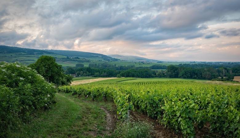 企业给空调安装工增加收入，很难还是手中没余粮了？-家电圈官网