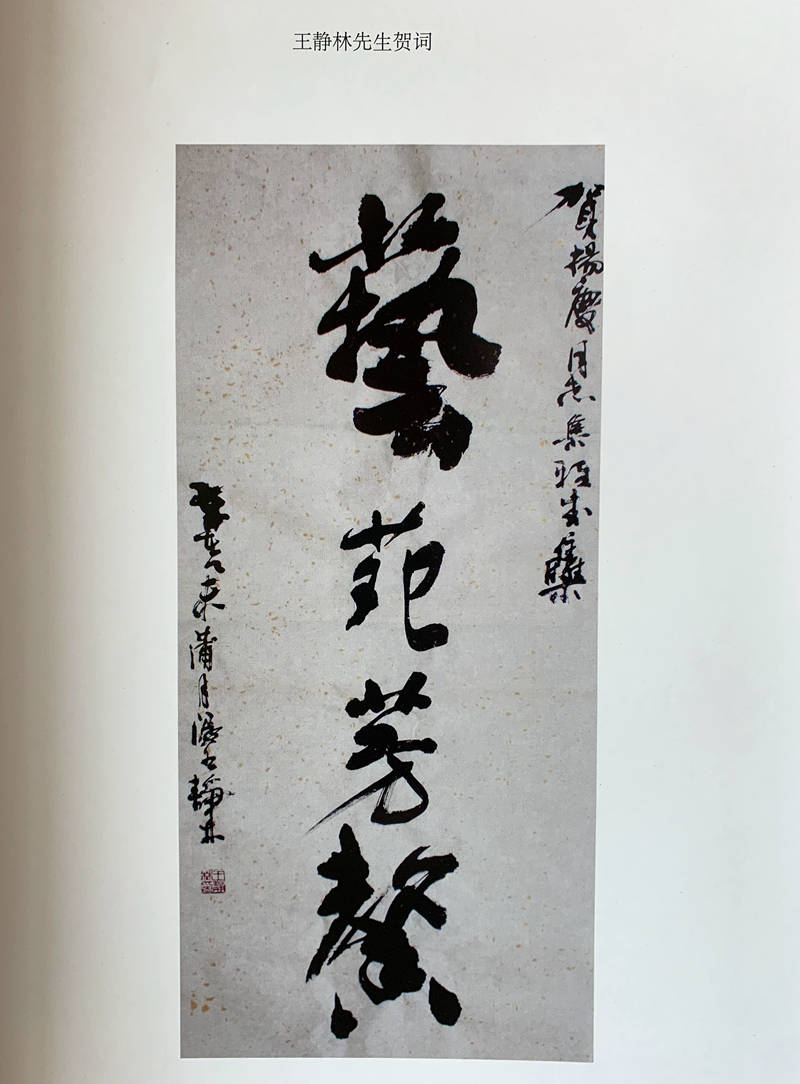 积善之家必有余庆——记保定收藏家,思善斋主杨庆_先生_爱好_过程