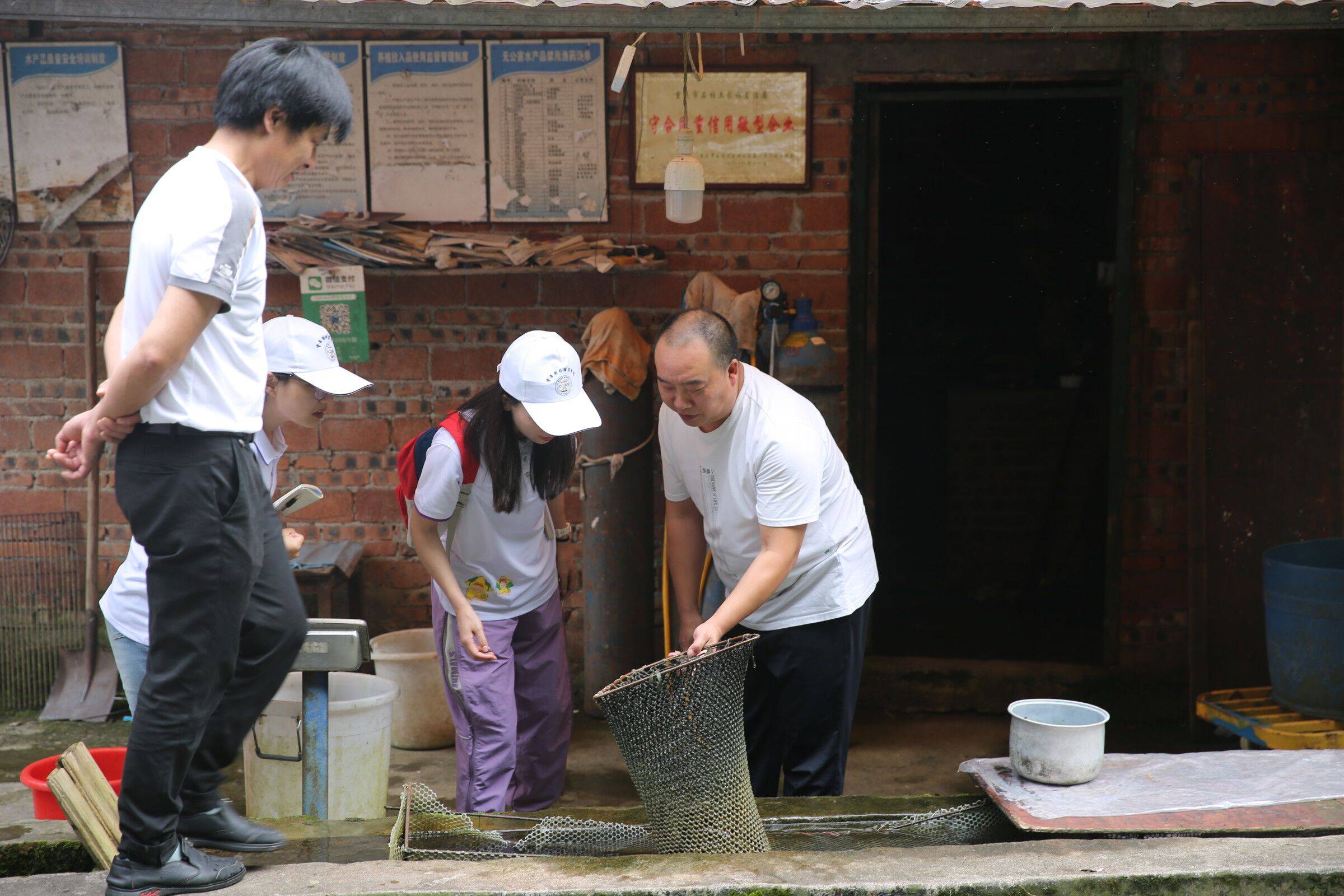 图为金鑫社区支部书记卢书记展示养殖场冷水鱼图为团