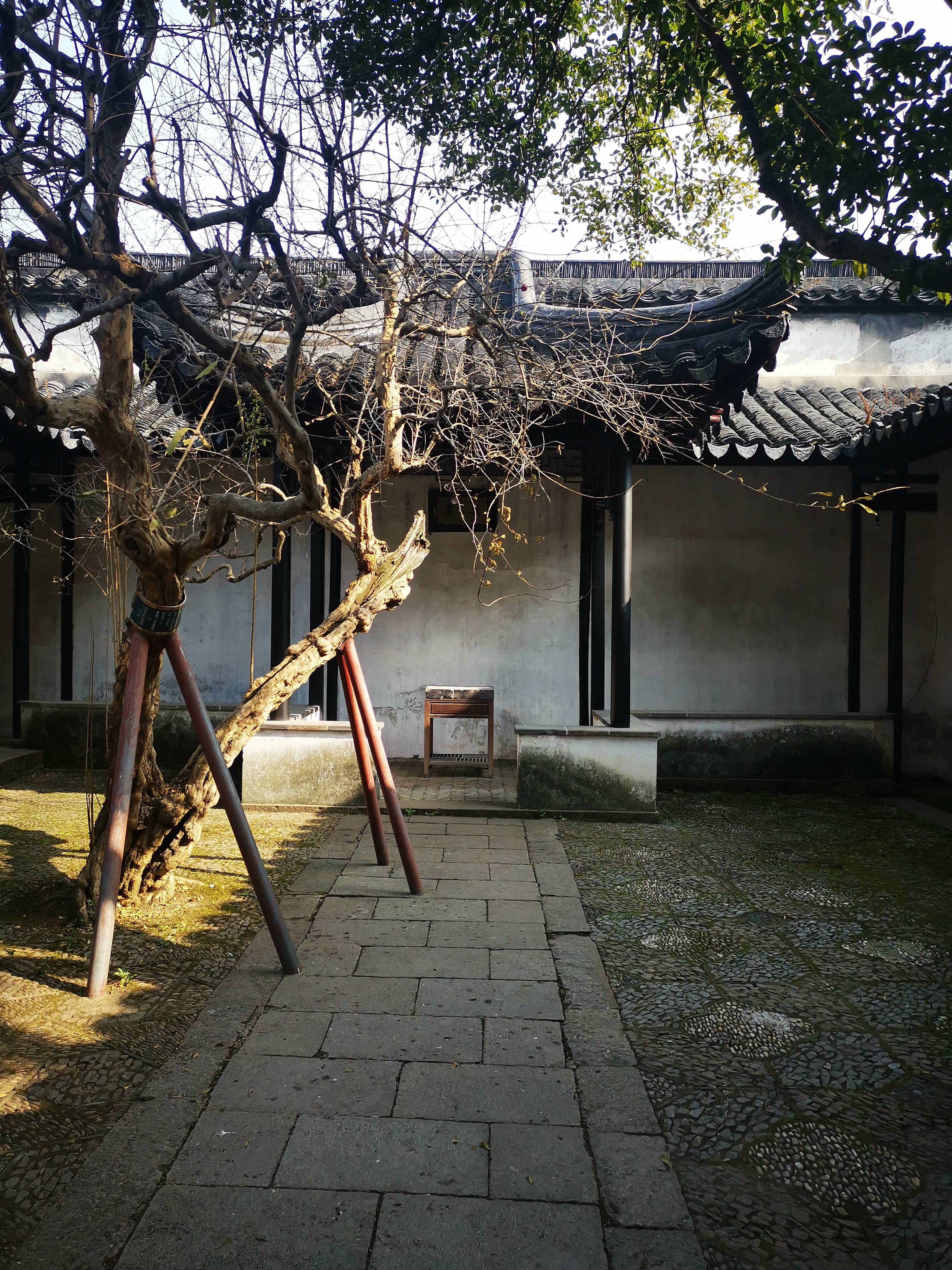 苏州越城遗址博物馆图片