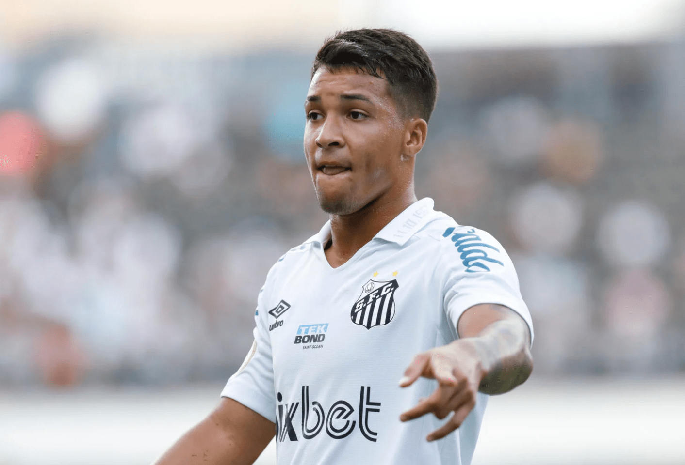 阿森纳现在可以以 2000 万英镑签下"非常优秀的终结者"_莱昂纳多