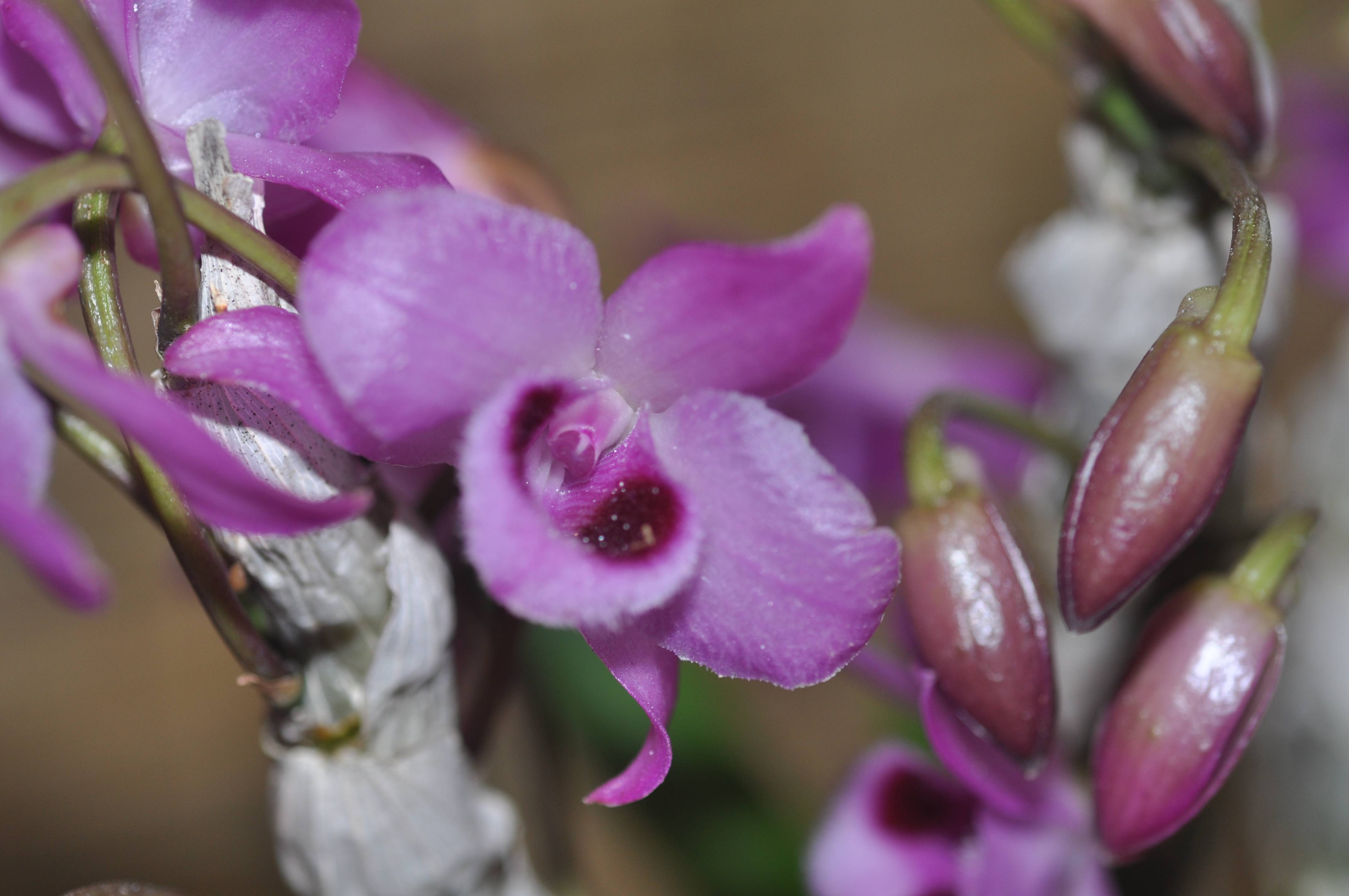 益支付_翼支付添益宝安全吗_全益支付是传销吗