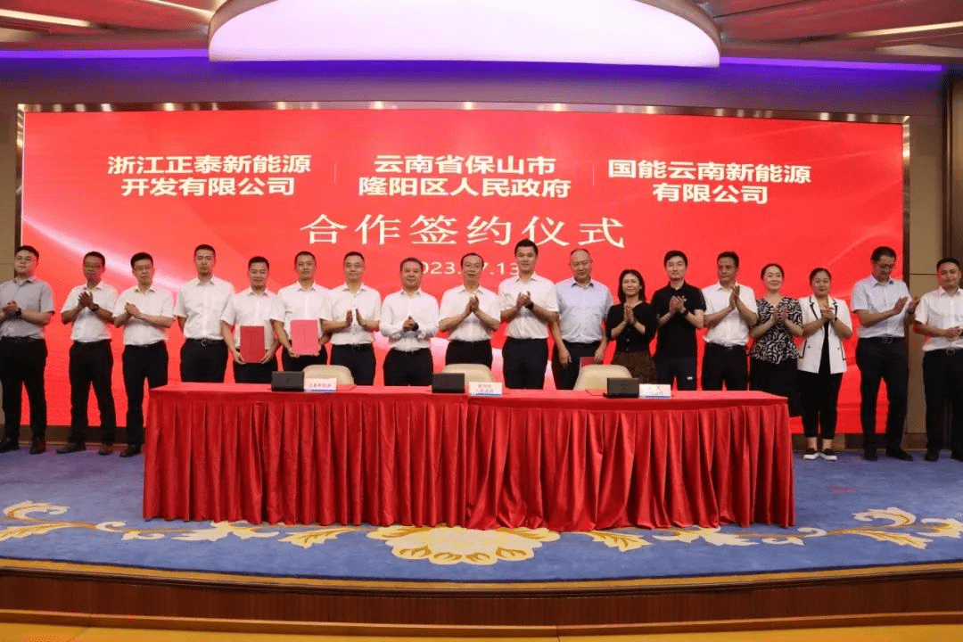 保山市副市长成德君,隆阳区常务副区长郭绍坤以及国能云南新能源公司