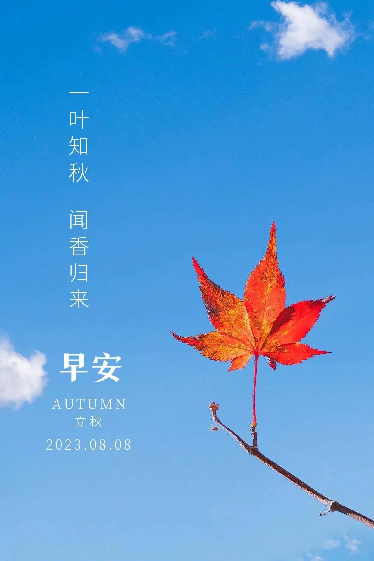 今日立秋!夏未尽,秋已至,滋阴润肺是关键!_秋藕_身体_习惯