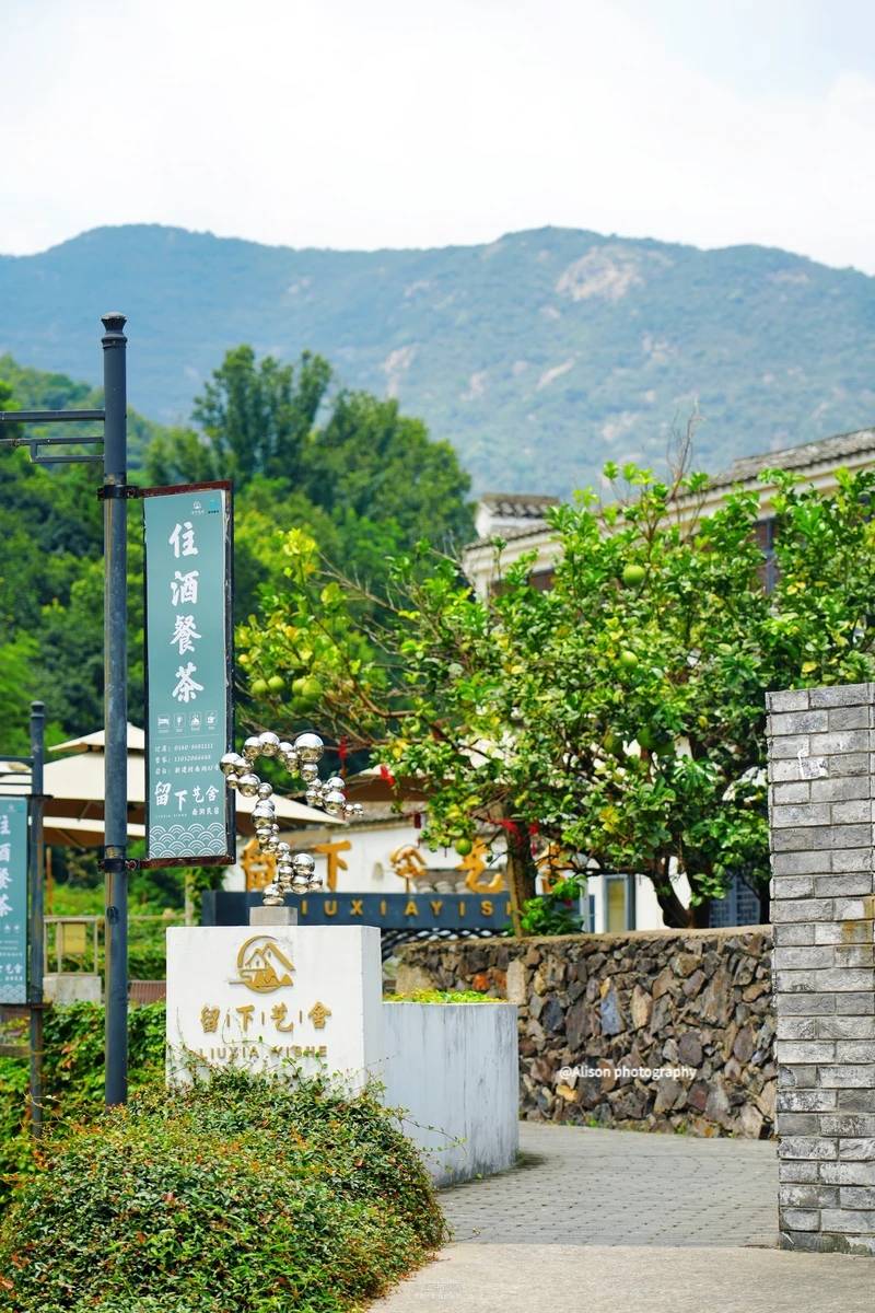 定海区干览镇双龙路21号21566南洞艺谷:定海区干览镇新建村新建