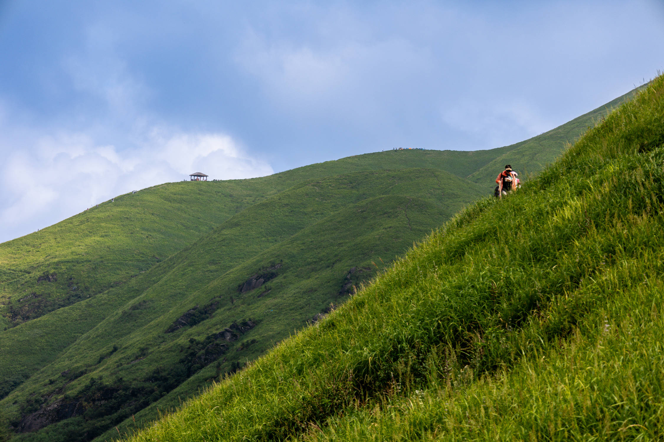 萍乡正青春,露营,爬山,去田野,年轻人都这样玩_金顶_云海_烟波
