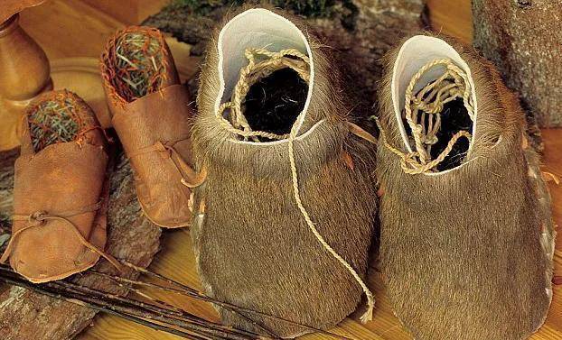 五千多年前,冰人奥兹的秘密_武器_动物_小时