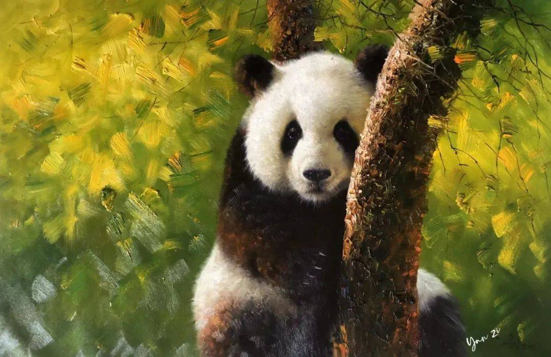 名家作品|我用画笔述熊猫——油画家晏子作品欣赏_布面_佛坪_秦岭