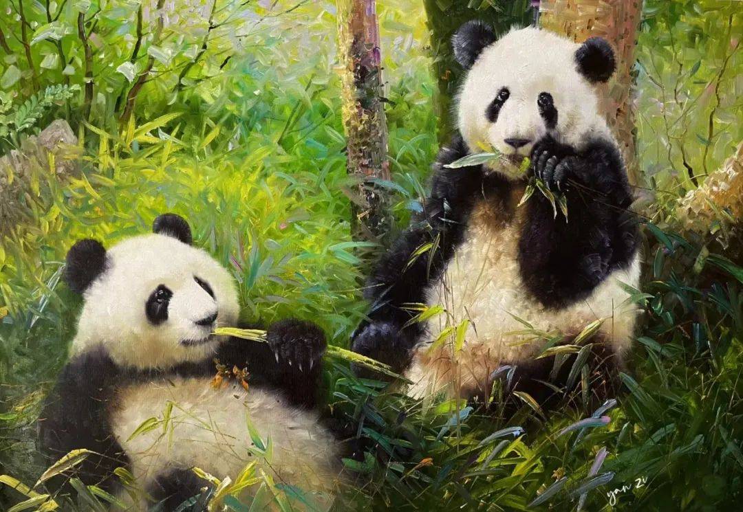名家作品|我用画笔述熊猫——油画家晏子作品欣赏_布面_佛坪_秦岭