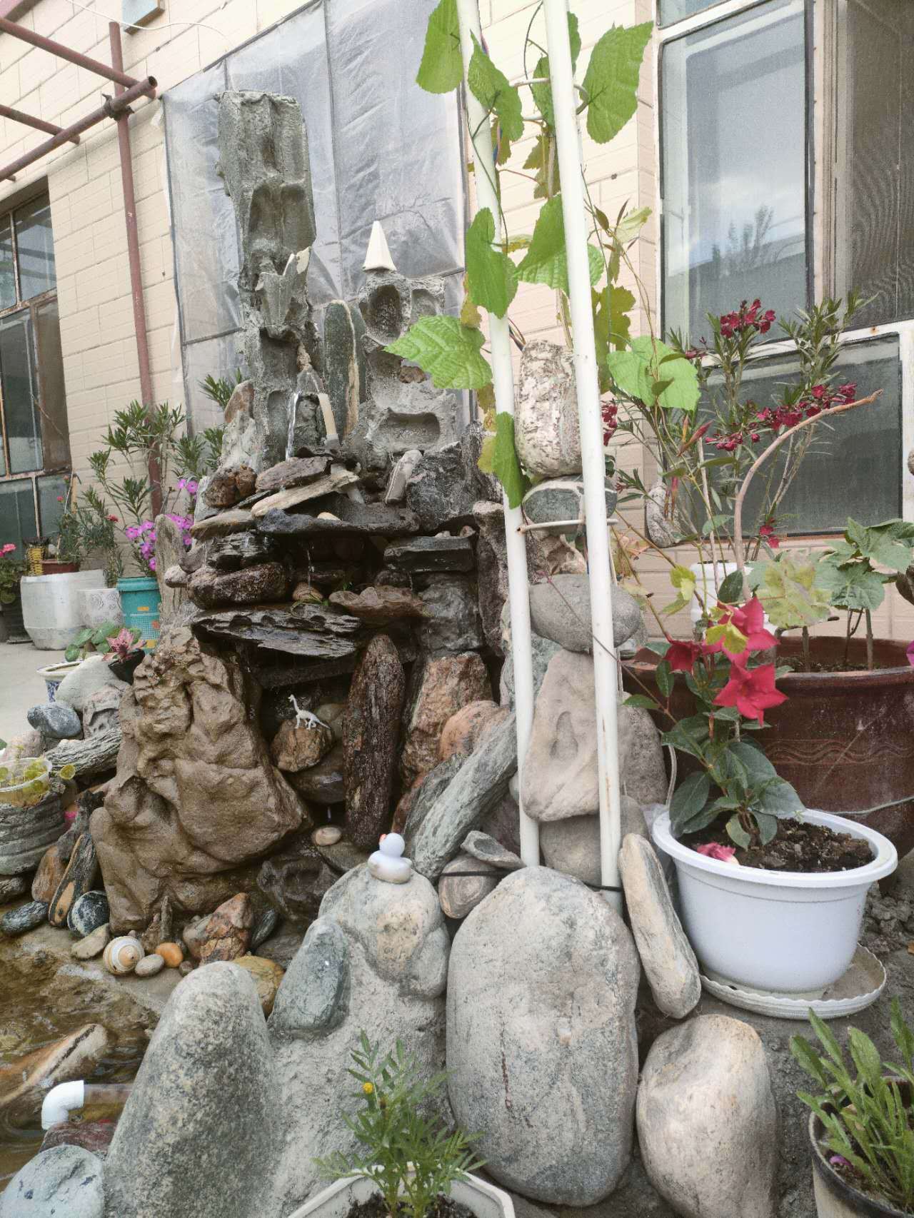 新疆焉耆藏在农家生活里的诗情画意
