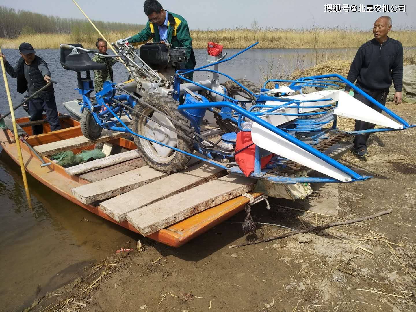 意大利芦苇割捆机服务黑龙江新疆芦苇产区_齐齐哈尔_吉林省_洮南市