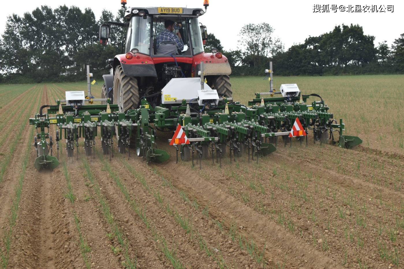 嘉福德除草机器人在洋葱机械除草领域得到应用_认可_成本低_种植户