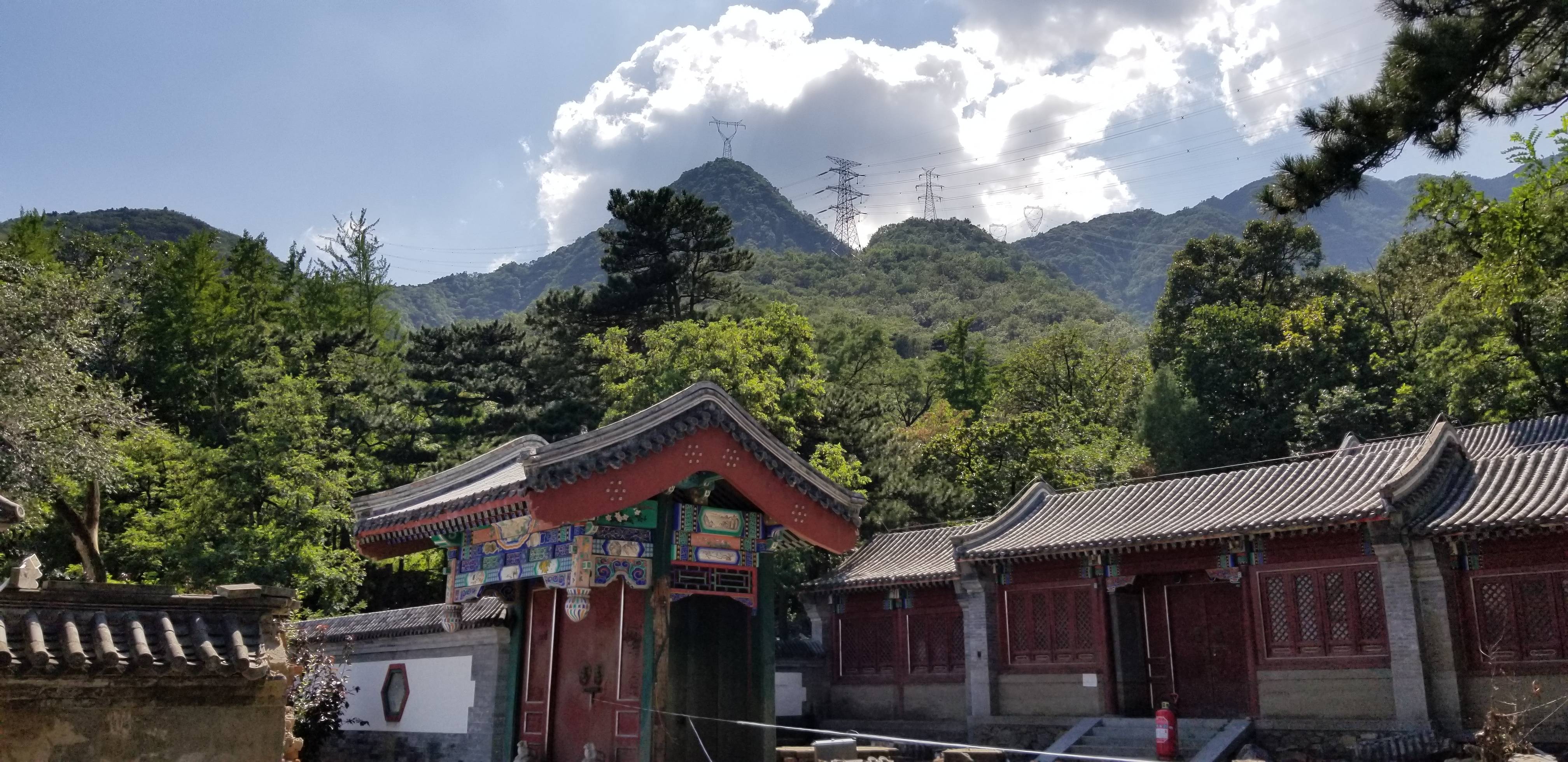 墙倒后看到的金仙庵建筑因此,应是金山寺古树经历过的最大洪水,古树更