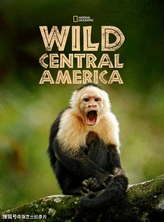 10050-国家地理《野性中美洲 Wild Central America 2020》全2集 英语中英双字 官方纯净版 1080P/MKV/5.39G 美丽的中美洲