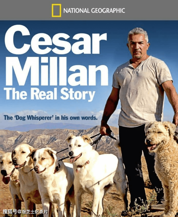 1027-国家地理《西泽·米兰：真实故事 Cesar Millan: The Real Story 2012》英语中英双字 官方纯净版 1080P/MKV/717M 西泽教官