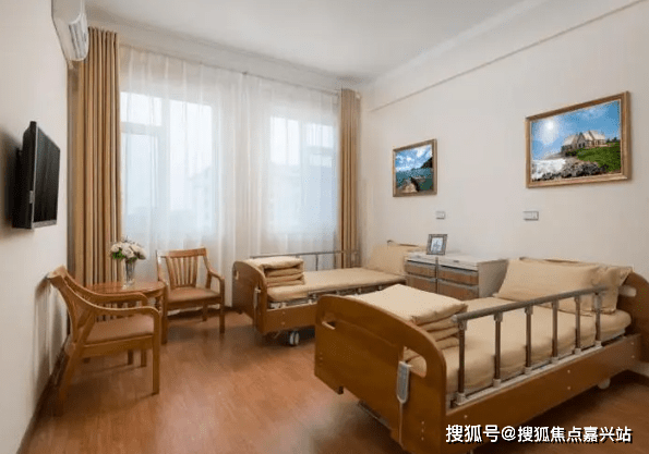 和设施,为老年人提供了多种选择,包括介护养老,公寓养老以及家庭式养