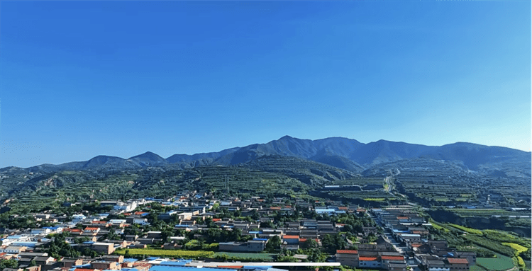 山西万荣县万泉乡金梨满满挂枝头 直播助农"甜"心头_发展_活动_产业