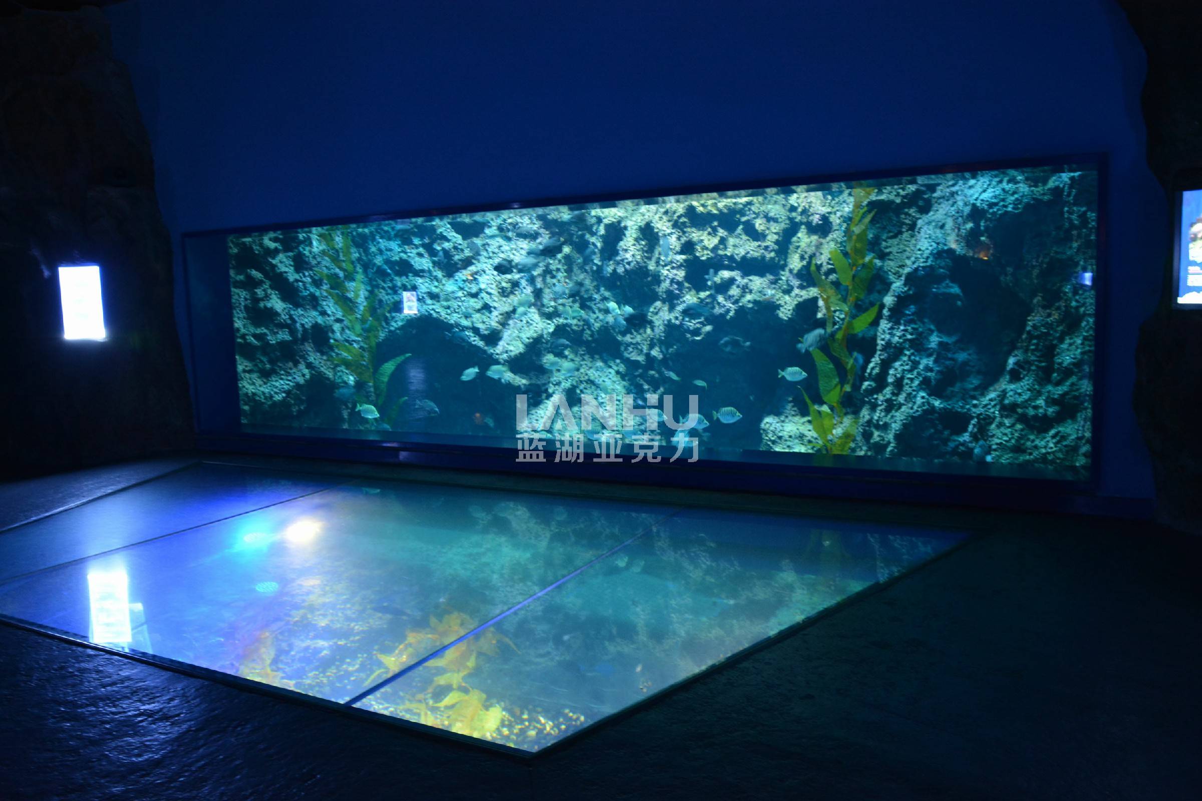 水下玻璃观光走廊图片
