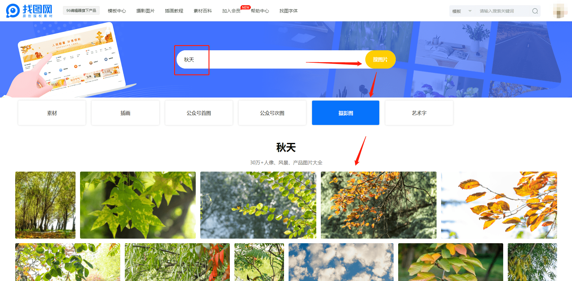 秋天树叶高清图图片素材大全网站推荐插图2