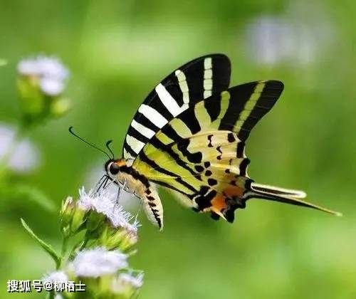 人民日报：同一个班级、同样的老师，孩子间拉开差距的真正原因！