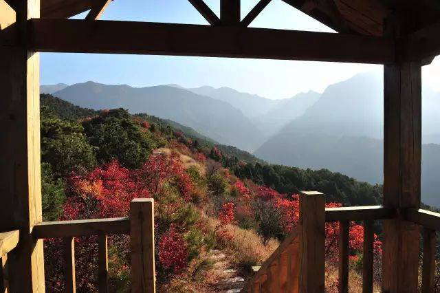 晋中石膏山景区金秋赏红叶,和大自然亲密接触!_风景_天竺_空气