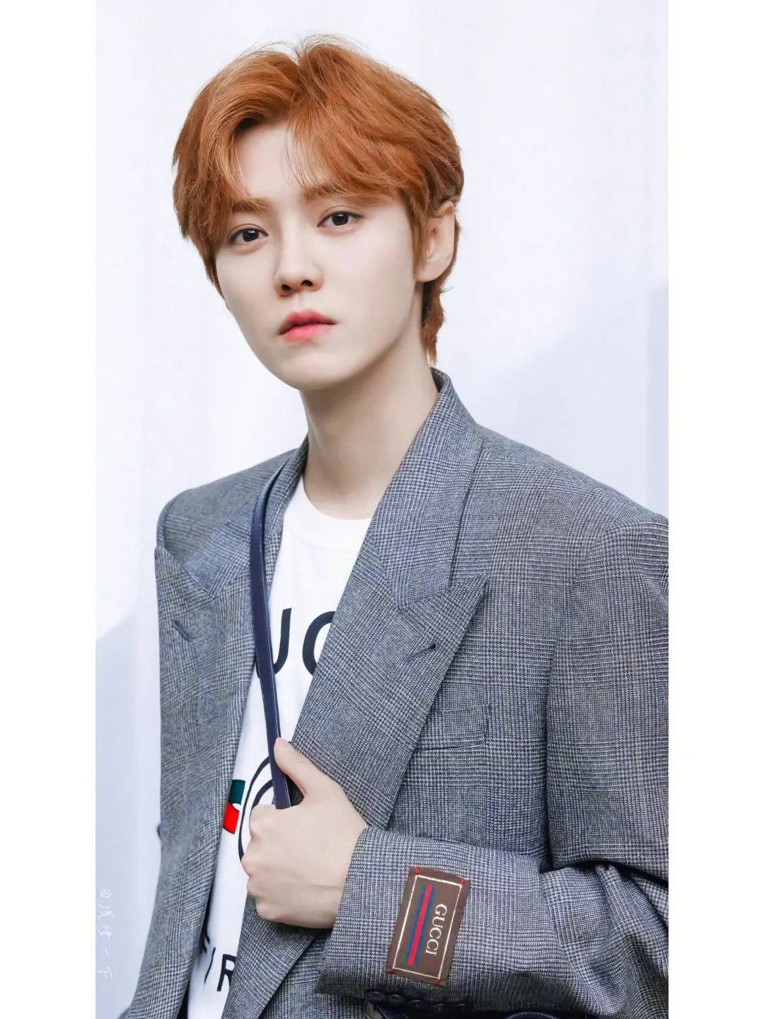 中国内地流行乐男歌手鹿晗经纪公司_电影_上线_歌曲