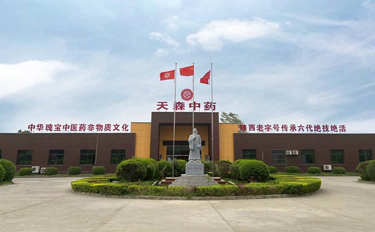 美容院专供凝胶清宫丸天森生物_生产厂家_传承_产品