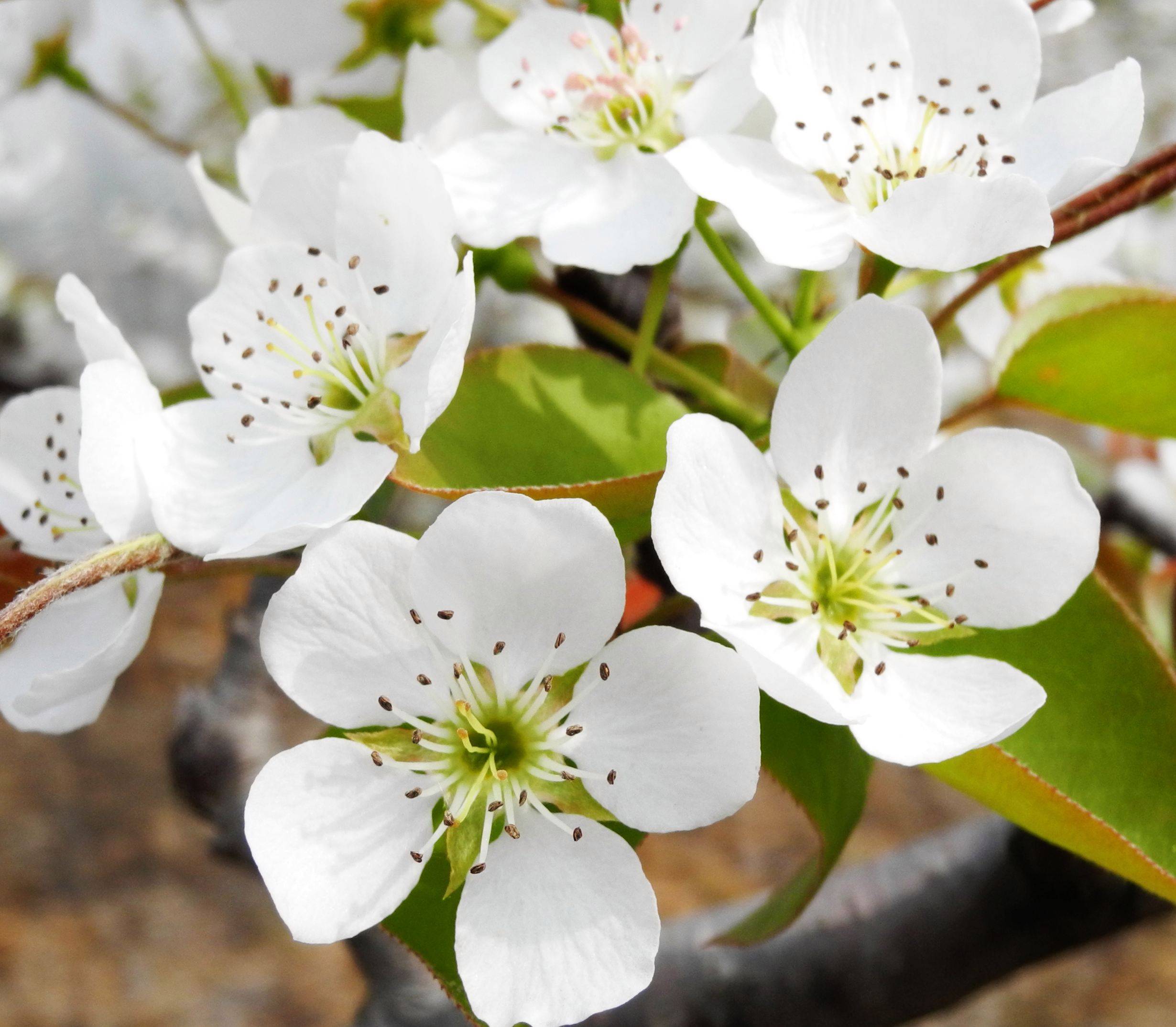 梨花声音课堂是我改变生活的契机和一个难得的机会_勇气_问题_课程
