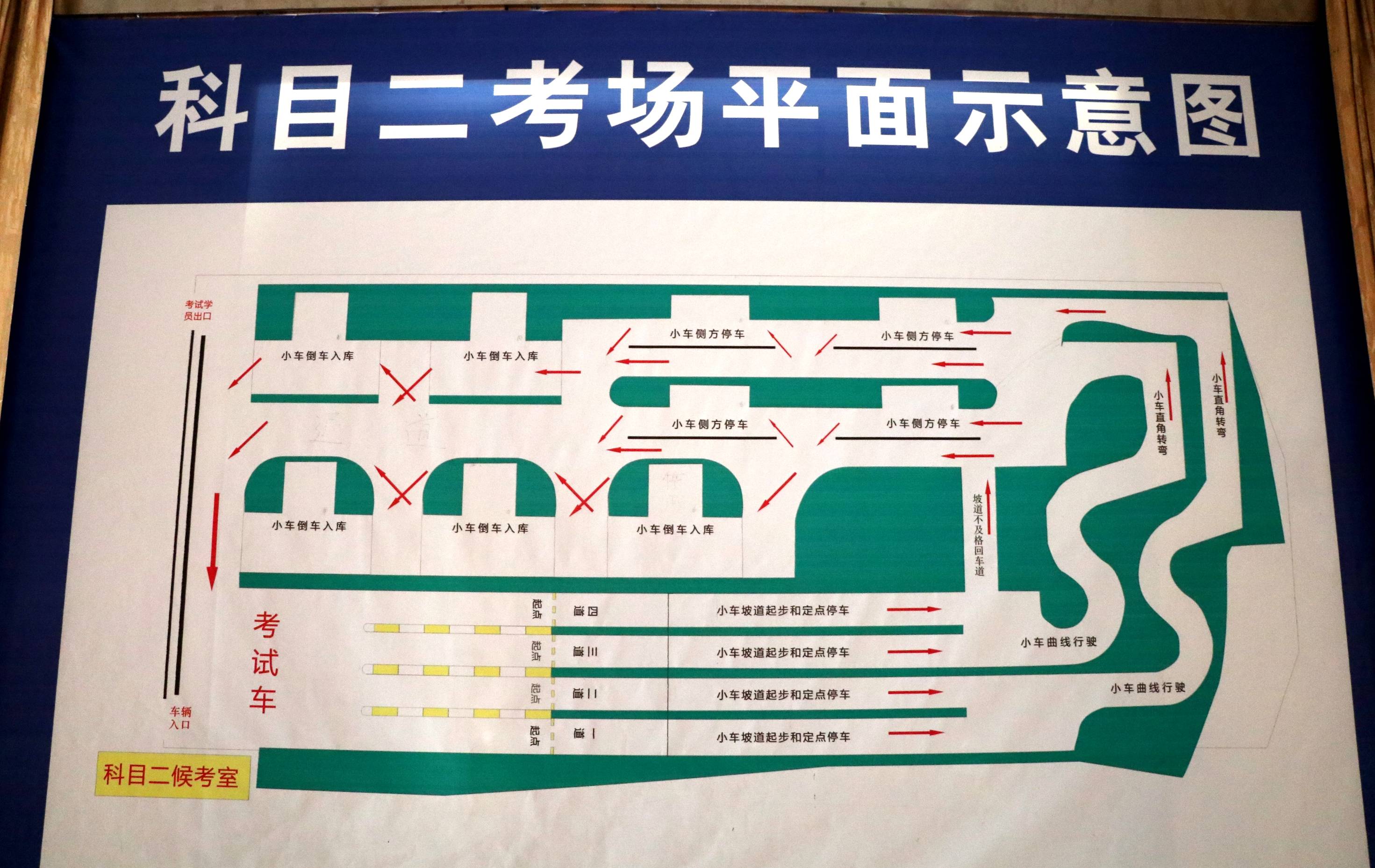 驾驶证_下肢_上肢