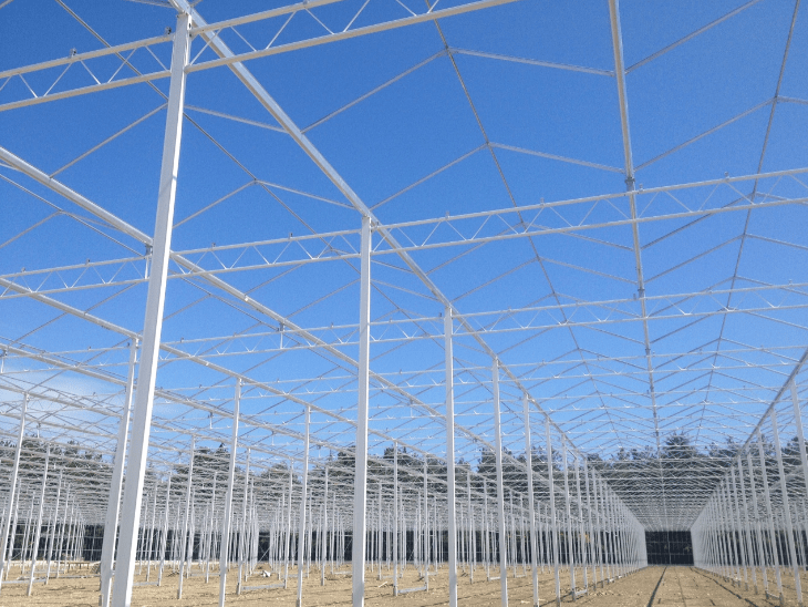 新疆玻璃温室大棚建造价格/成本