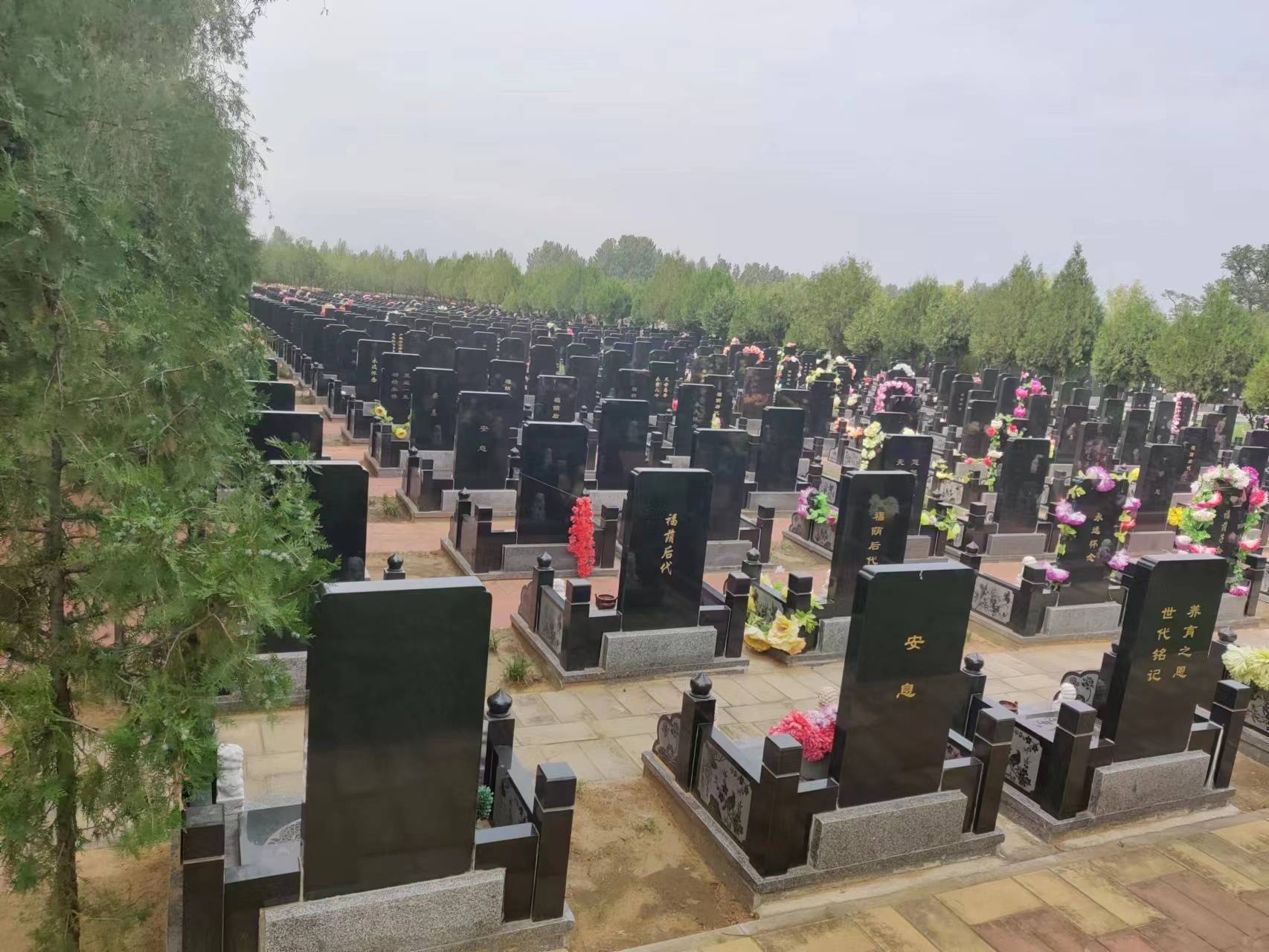 广州中华永久墓园图片图片