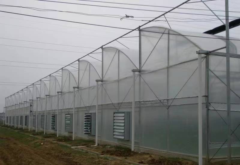 锯齿形薄膜温室大棚建造特点_设计_农业_进行