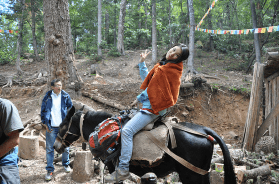 游客称在丽江花钱"骑马游"实为骑骡子 景区:骡子也属于马丨追踪到底