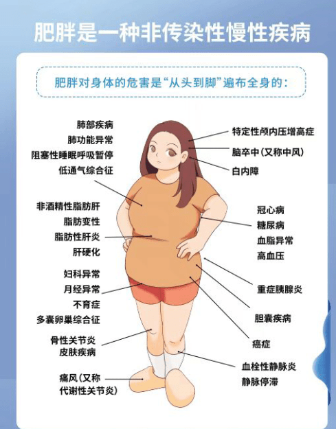 【甄轻松】关注肥胖对身体的危害,不可忽视!