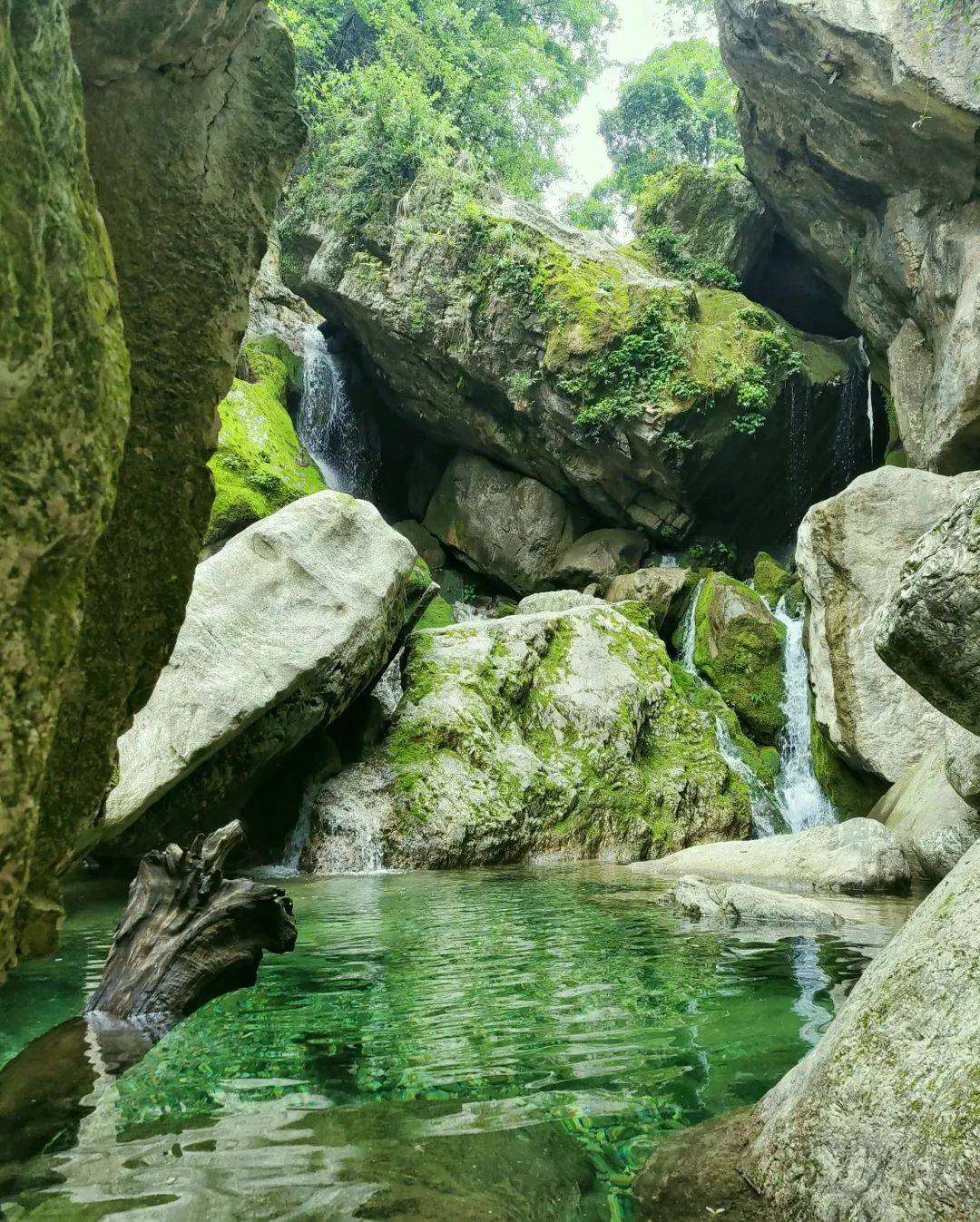 南津关大峡谷冲击国家4a!_旅游_夷陵区_自然保护区